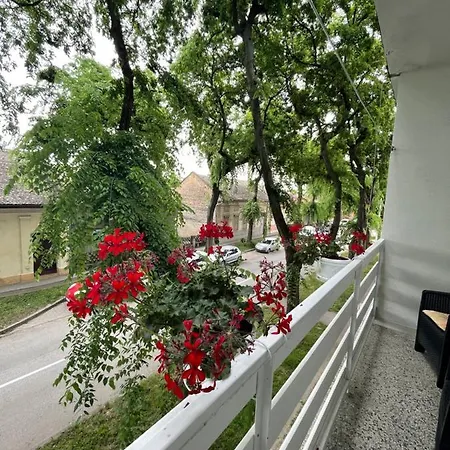 Venera Sombor