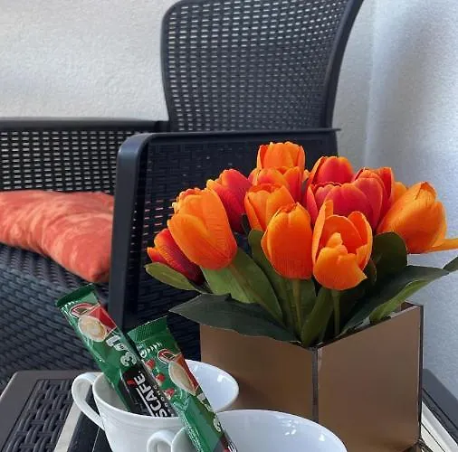 Apartament Venera Sombor